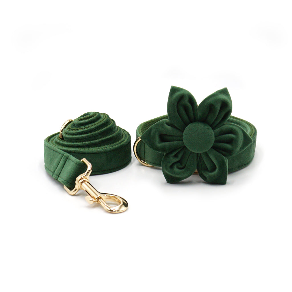 The ICON Velvet Set – Forest Green