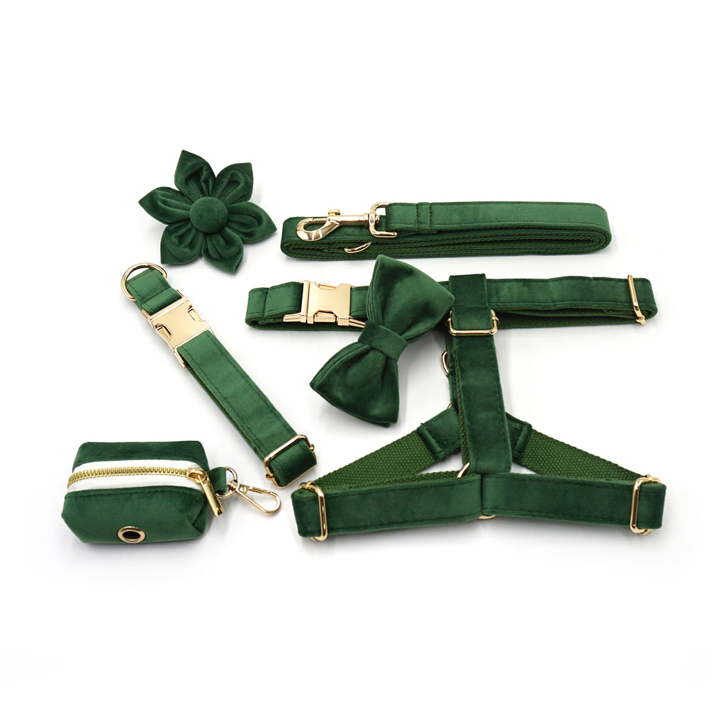 The ICON Velvet Set – Forest Green