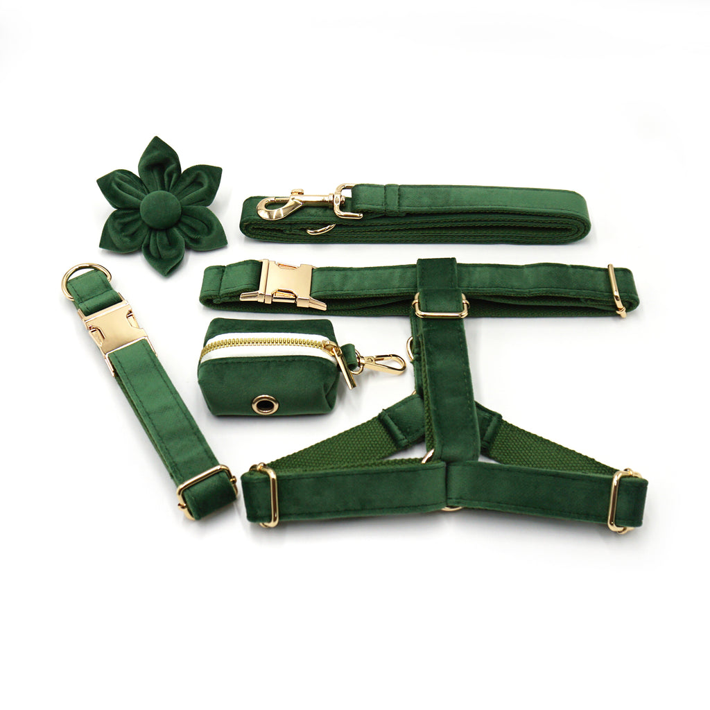 The ICON Velvet Set – Forest Green