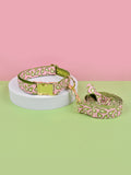 Pink Avocado - Collar and Leash