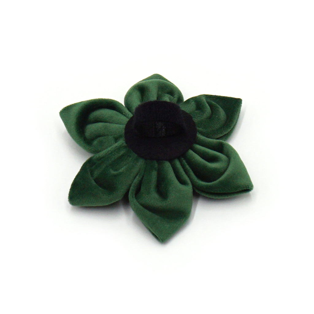 The ICON Velvet Set – Forest Green