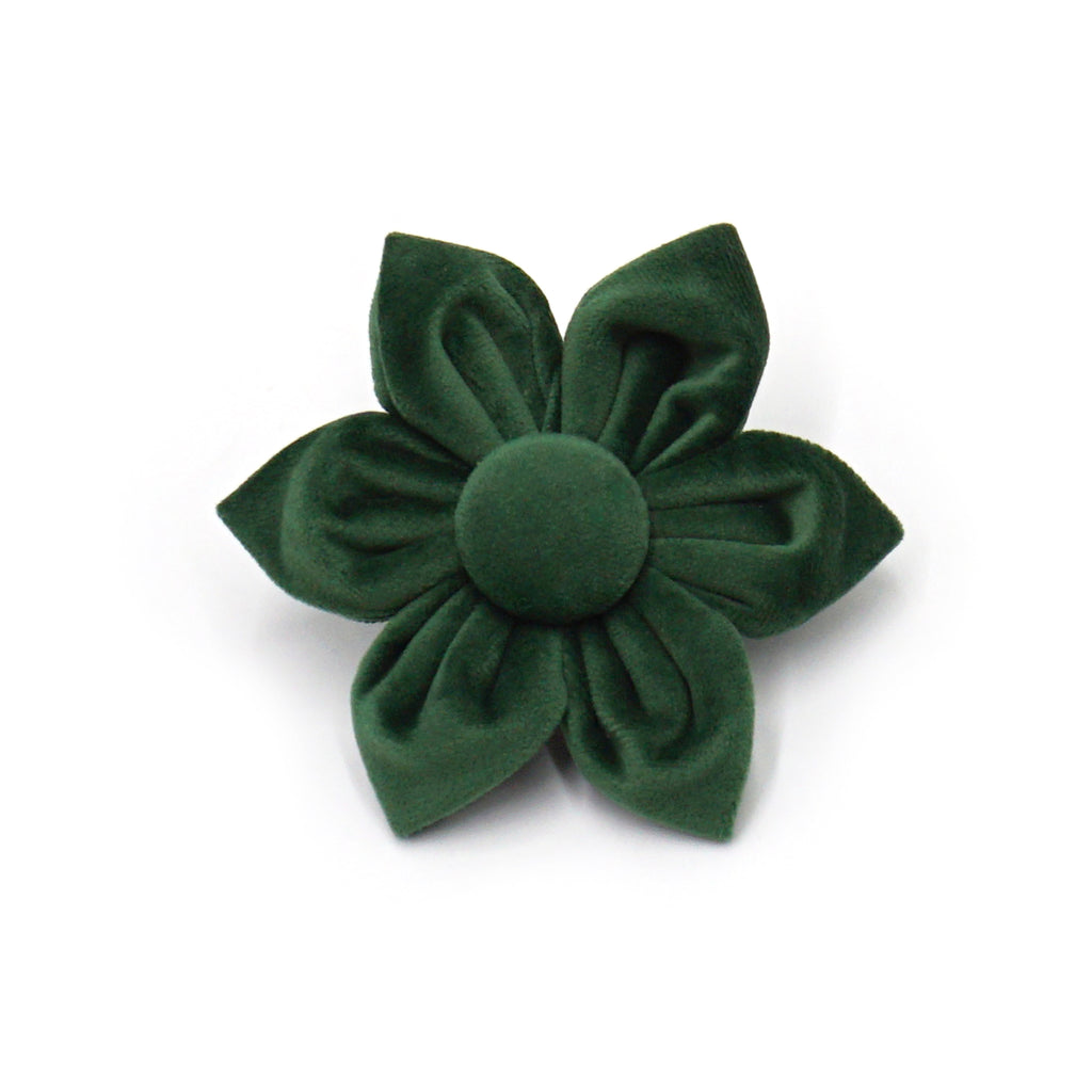 The ICON Velvet Set – Forest Green