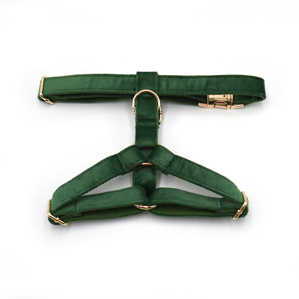 The ICON Velvet Set – Forest Green