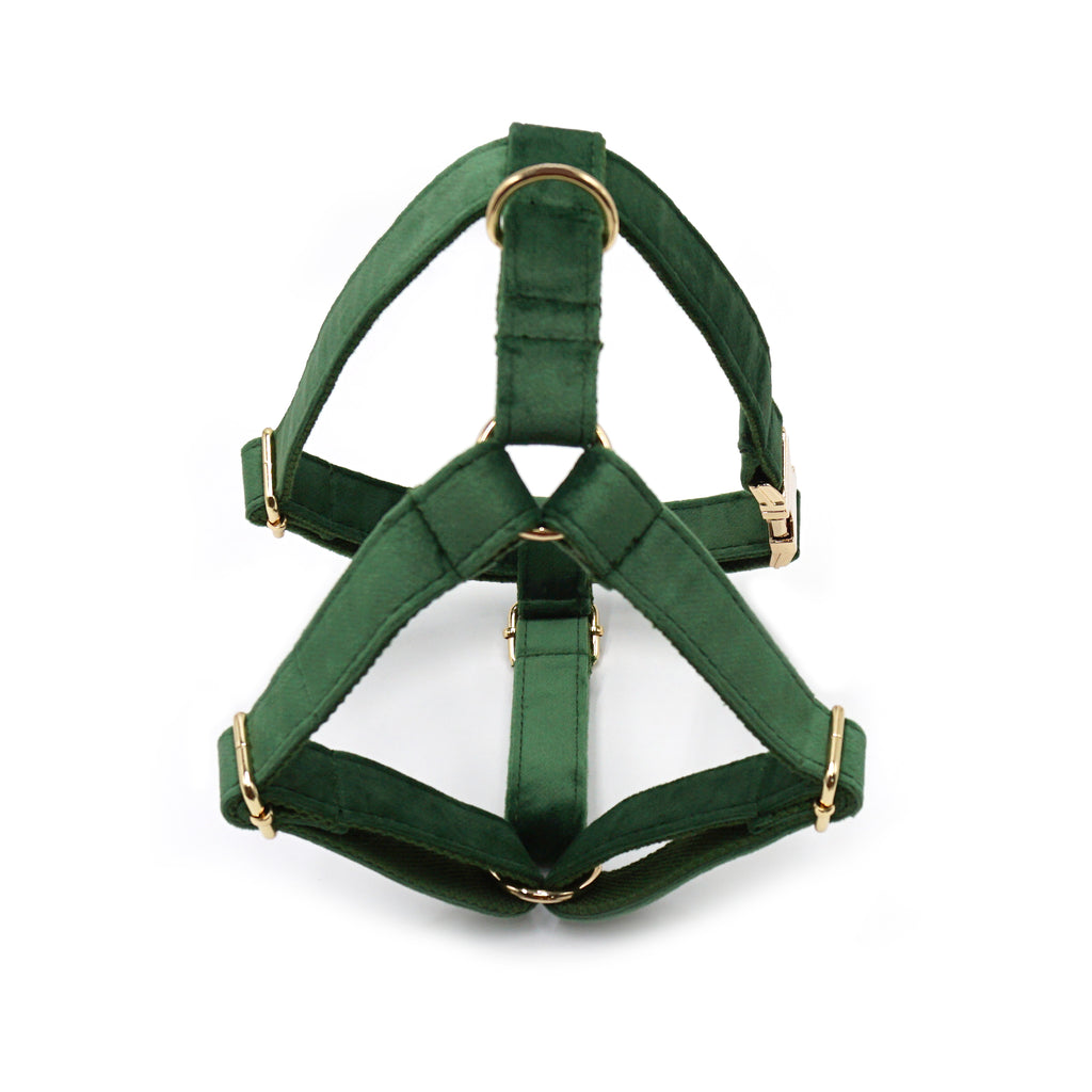 The ICON Velvet Set – Forest Green