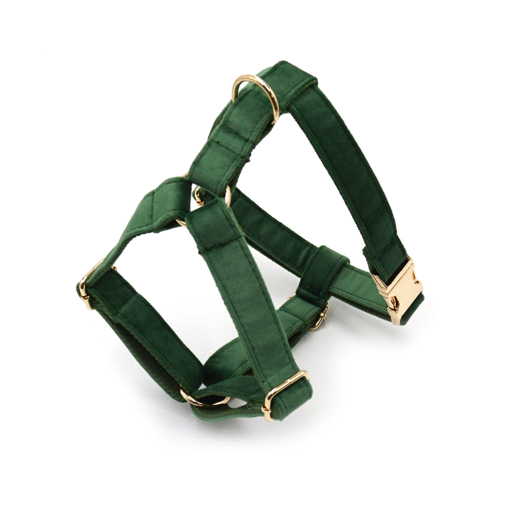 The ICON Velvet Set – Forest Green