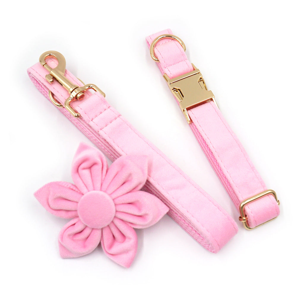 The ICON Velvet Set – Blush Pink
