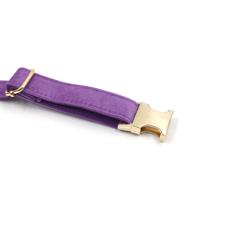 The ICON Velvet Set – Royal Purple