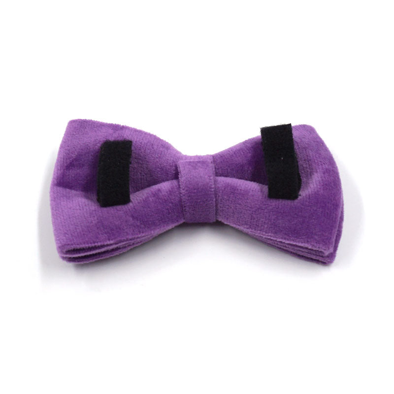 The ICON Velvet Set – Royal Purple