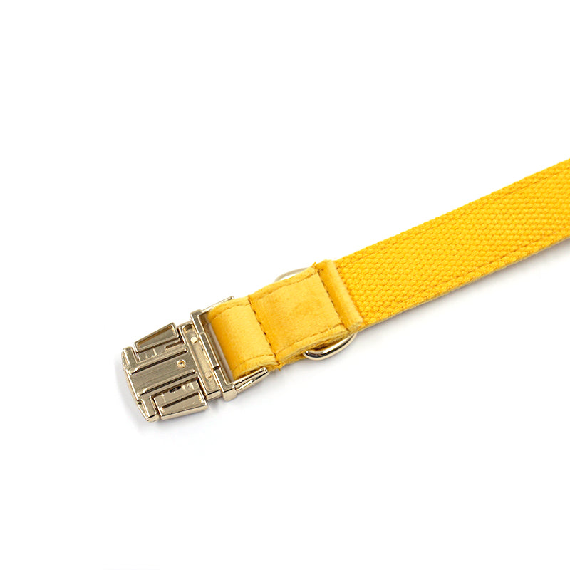 The ICON Velvet Set – Lemon Yellow
