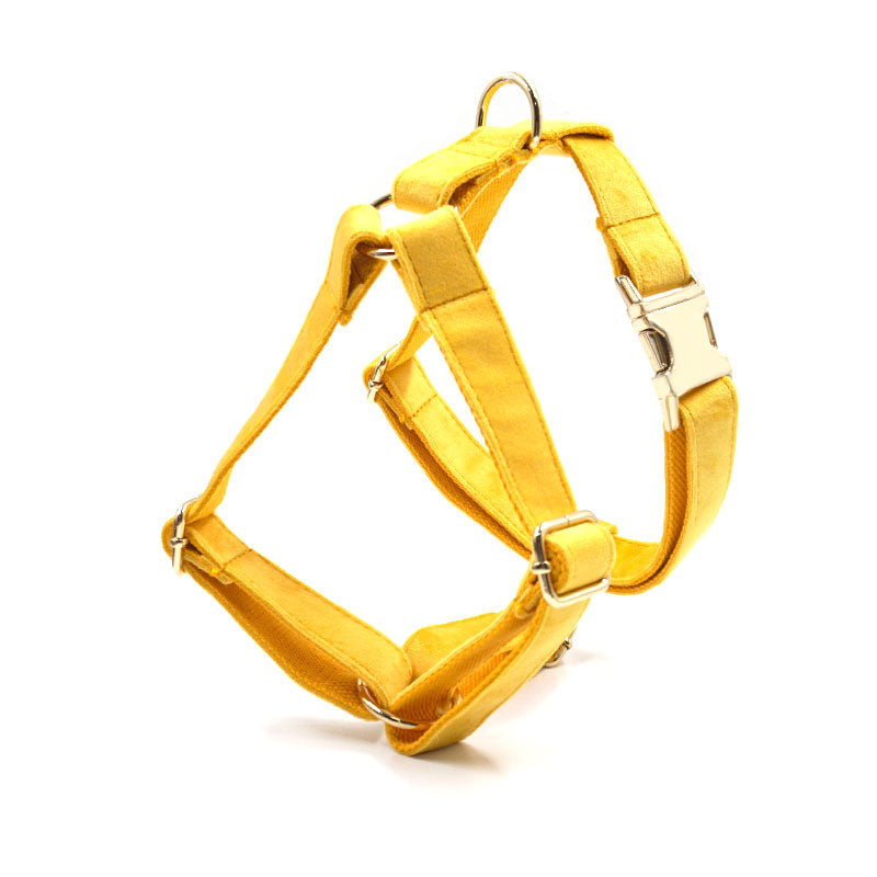 The ICON Velvet Set – Lemon Yellow