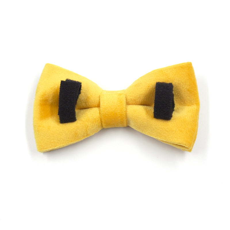 The ICON Velvet Set – Lemon Yellow