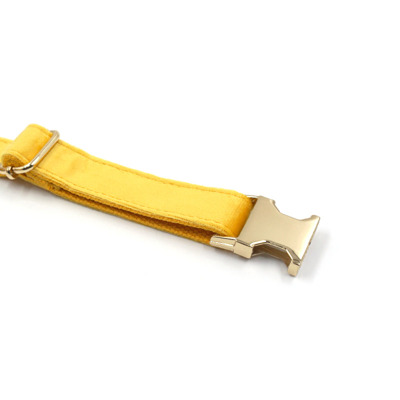 The ICON Velvet Set – Lemon Yellow