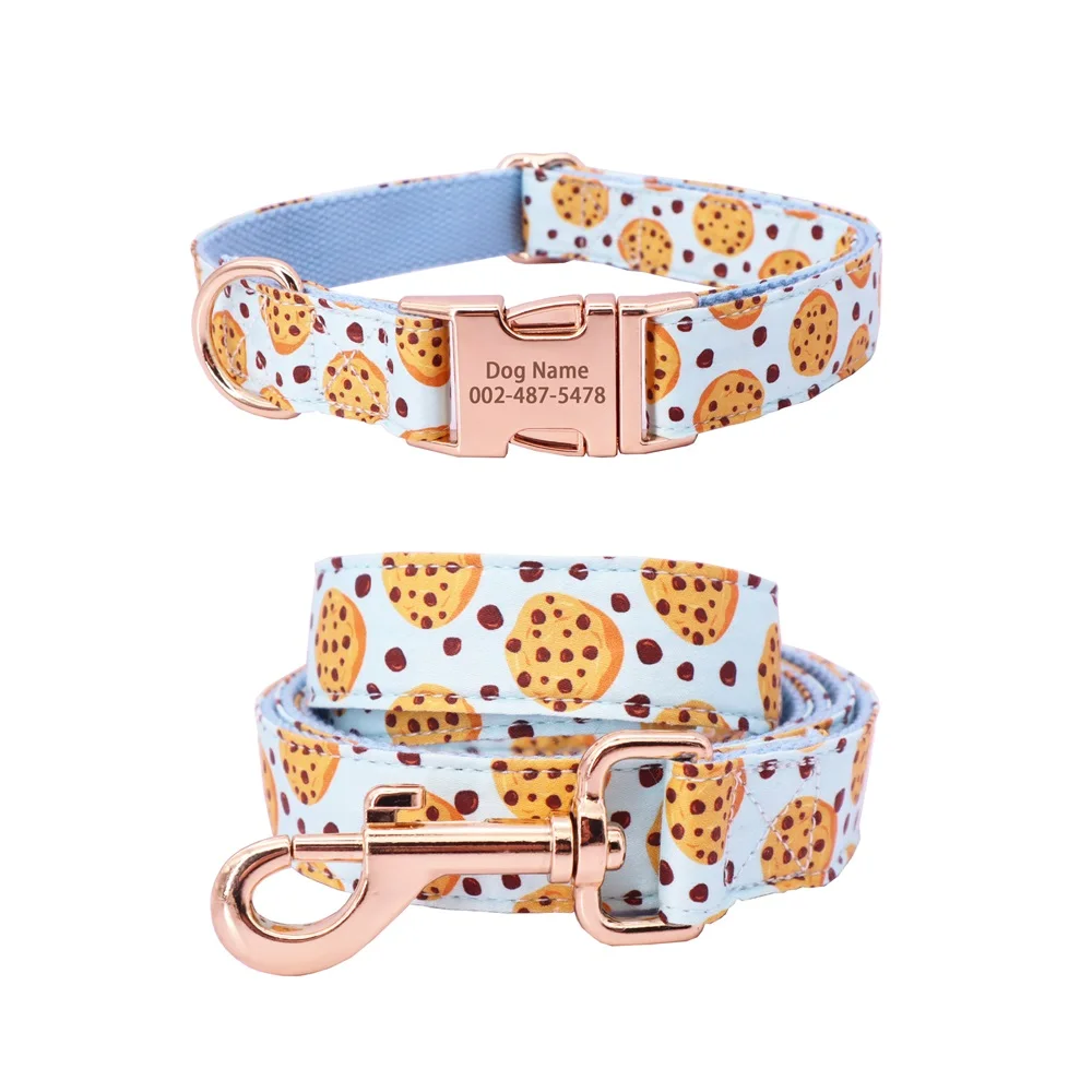 Collars & Leashes
